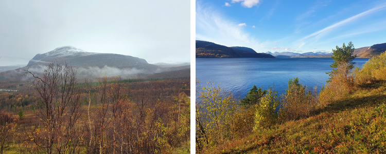 Kollasj av to landskapsbilder fra Saltdal kommune